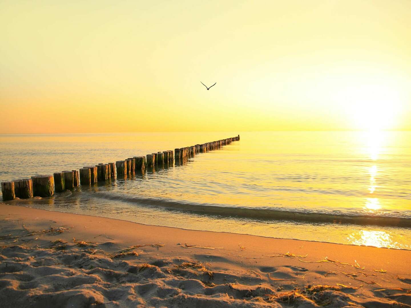 Frühling und Mee(h)r - Auszeit in Zingst