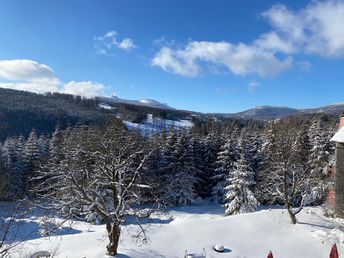 Winterzauber im Harz