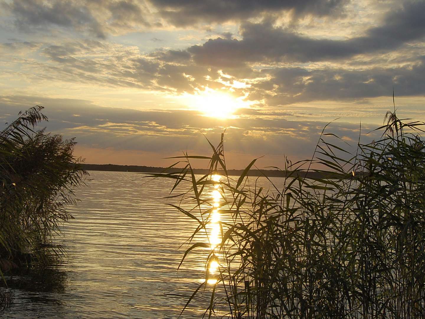 3 Tage Gänseschmaus & Horrido am Arendsee