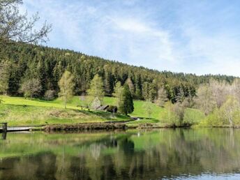 Unsere 2 Tage Auszeit im Schwarzwald inkl. Aqua-Thermo-Jet Massage