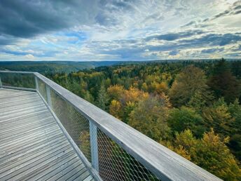 3 Tage Natur pur im schönen Schwarzwald mit Baumwipfelpfad