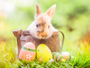 Ostern bei Gemmers - im Taunus zwischen Rhein und Lahn