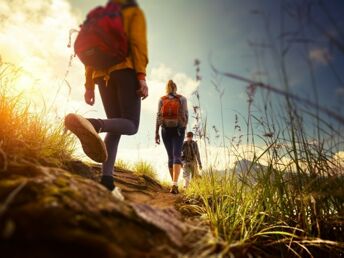 Hans-Meyer-Geburtstagsweg - Wandern in Mittelfranken