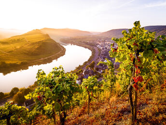 Ausspannen und stilvoll genießen an der Mosel | 2 Nächte