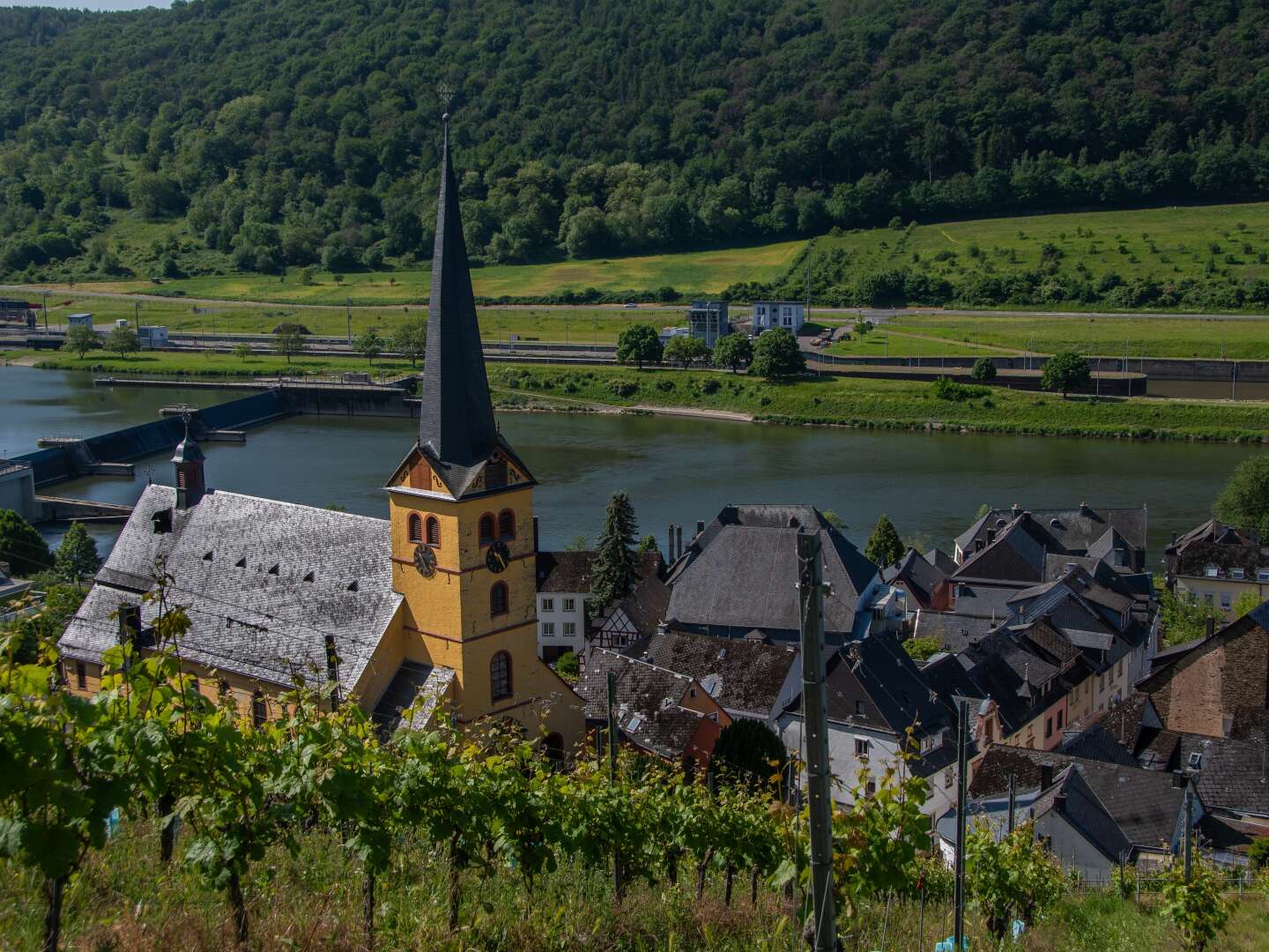 Ausspannen und stilvoll genießen an der Mosel | 2 Nächte