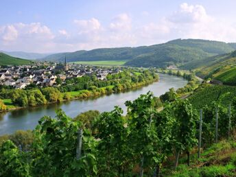 Beauty - short, good and more | 3 Tage direkt an der Mosel inkl. Anwendungen