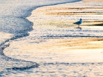 3 Tage Binz, im größten Ostseebad auf Rügen entspannen