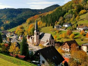 Schnuppertage im Schwarzwald