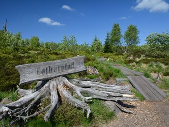 Den Schwarzwald entdecken - 4 Tage wandern