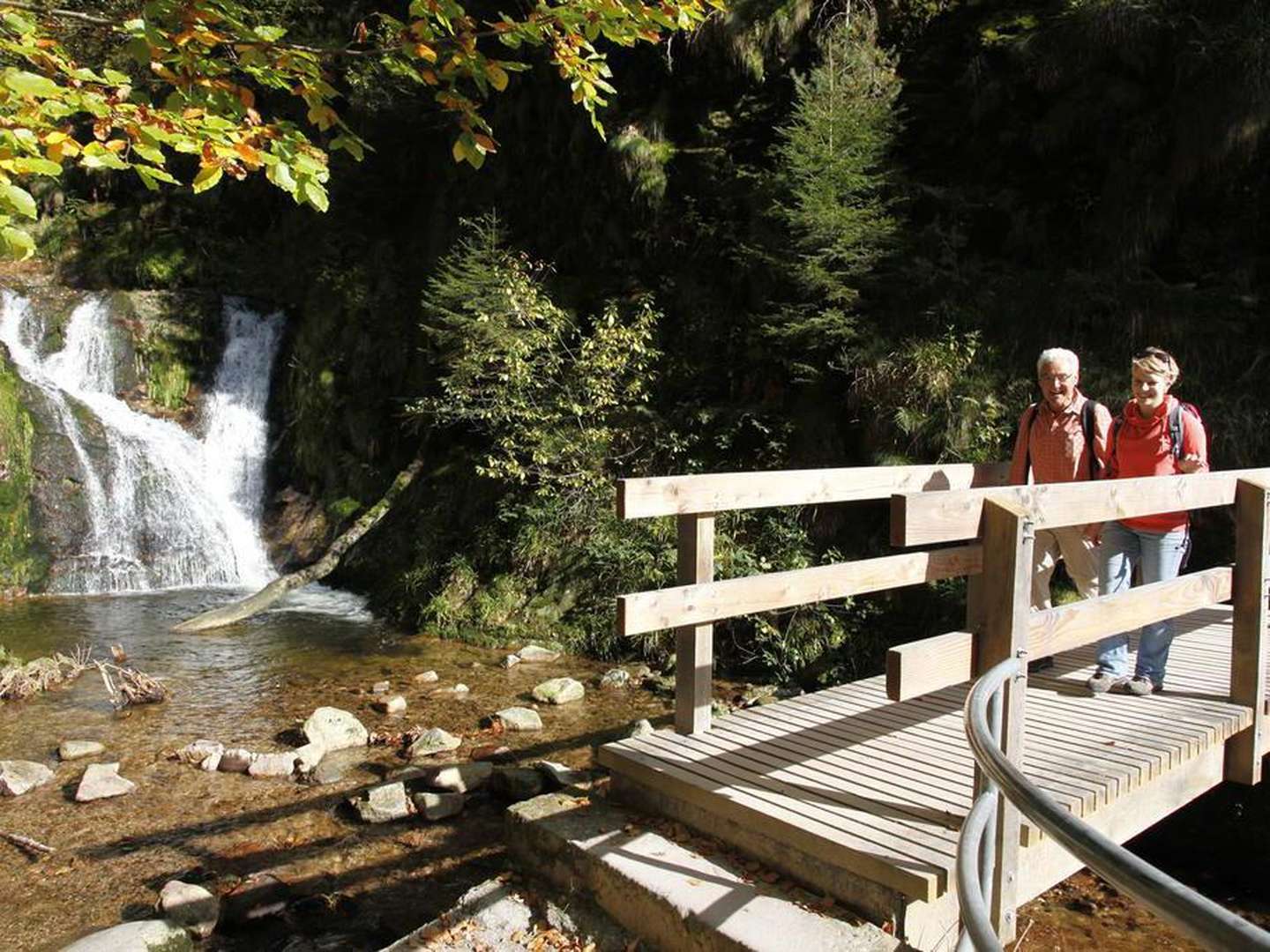 Schnuppertage im Schwarzwald