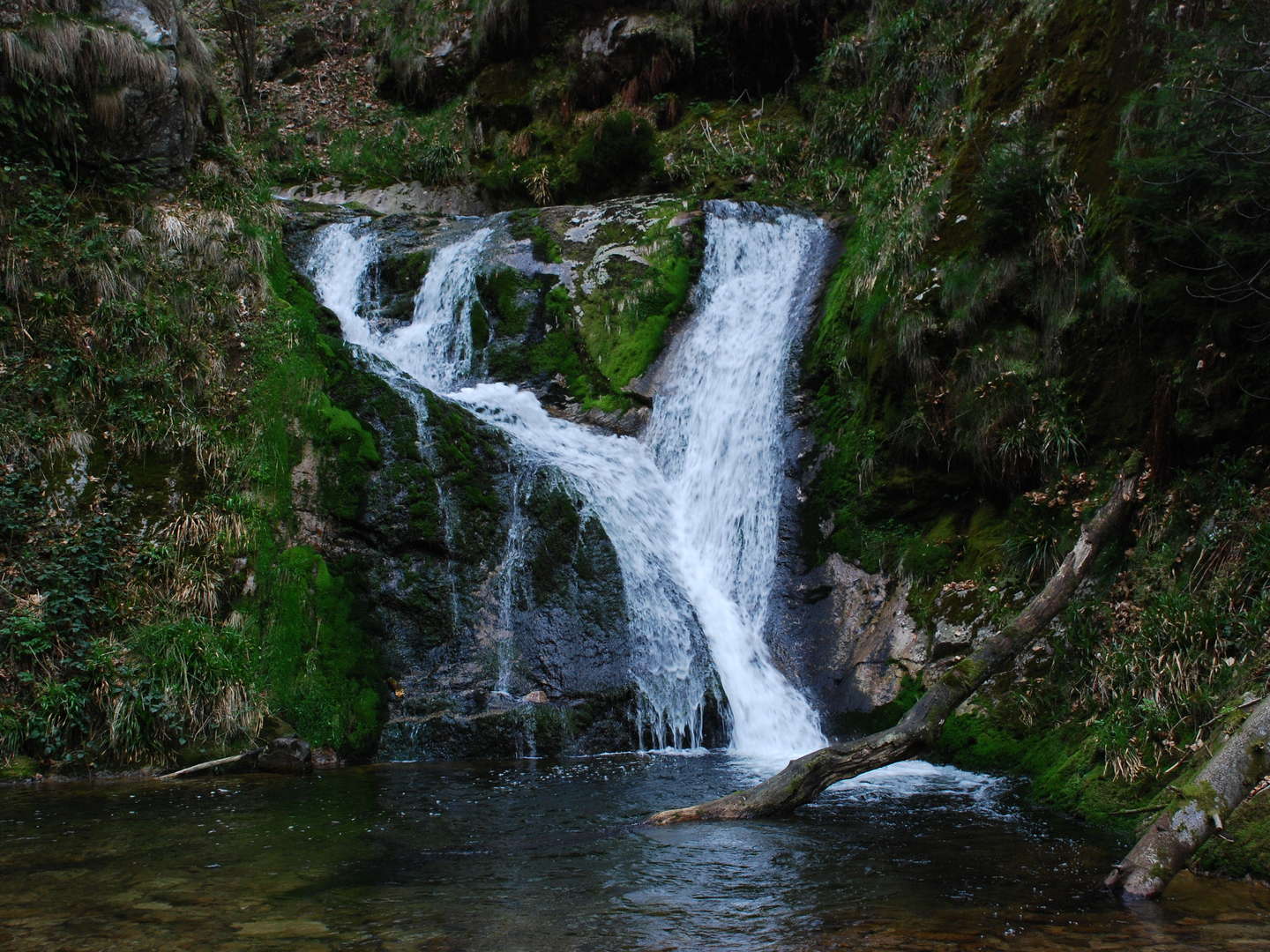 Schnuppertage im Schwarzwald