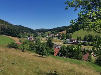 Wellness-Tage im Odenwald mit Halbpension & Massage