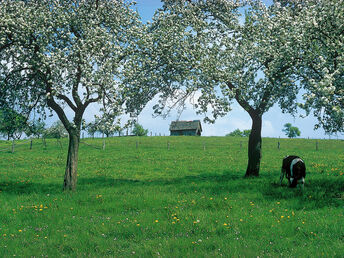 5 Verwöhntage im Bergischen Land