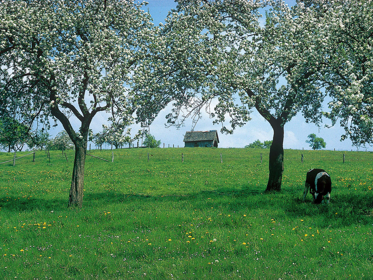 4 Tage Wandern im Bergischen Land