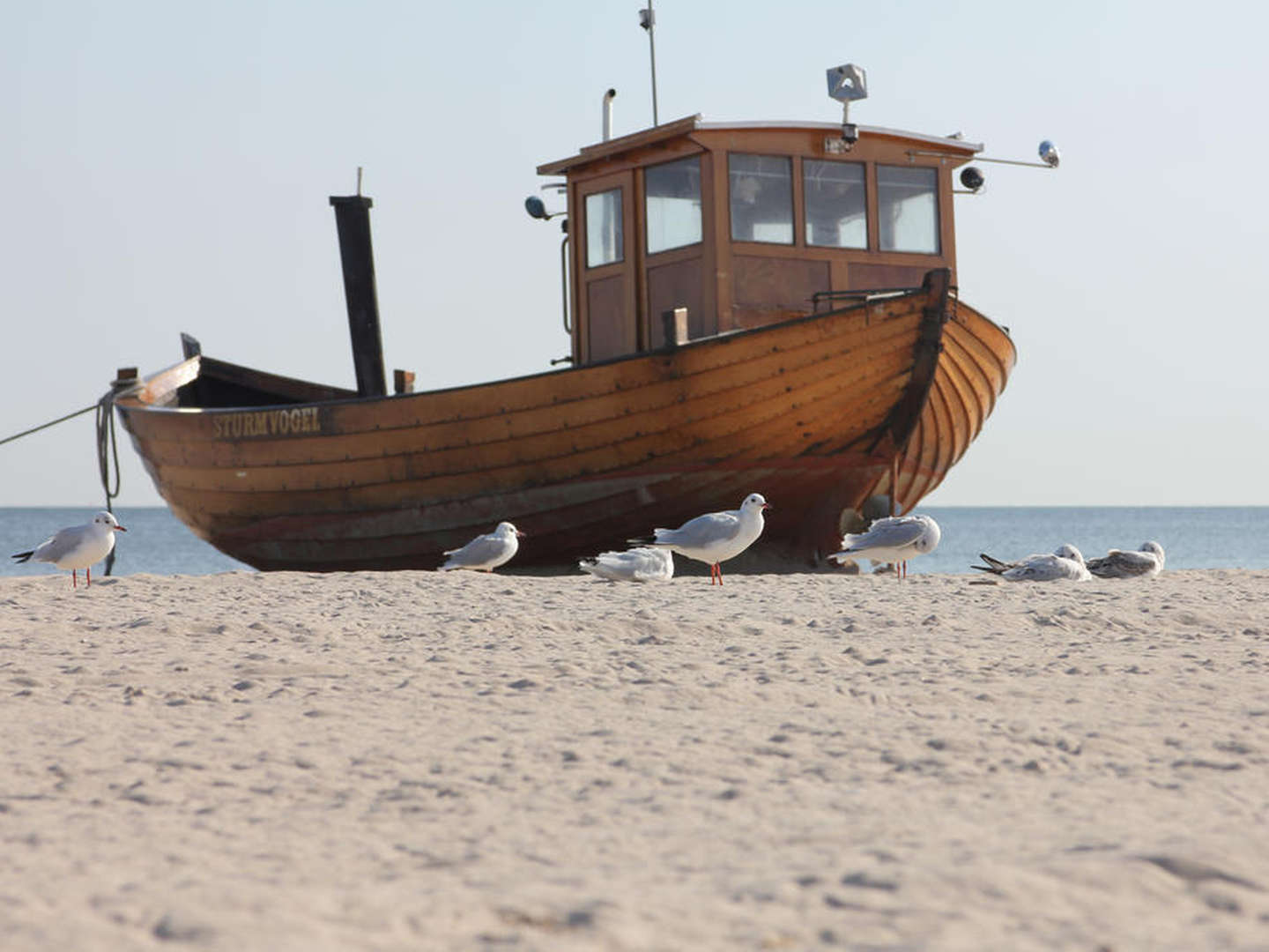 Urlaub in Traum-Lage auf Usedom (3 Nächte)