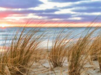 Schnupperurlaub an Bord der Nautilus (Nov.-Dez.)