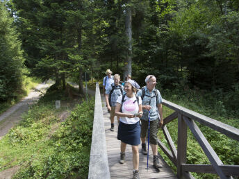 Mitten im Wald mit Aussichtsturm Himmelsglück 