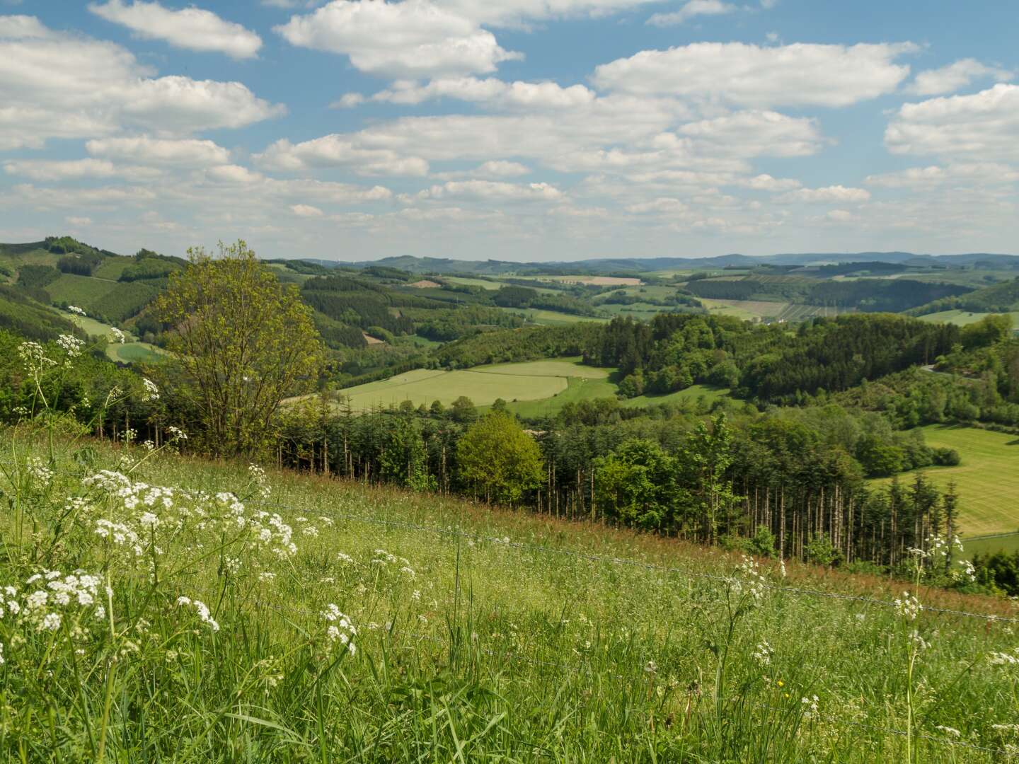 Wandern auf dem Sauerland Höhenflug