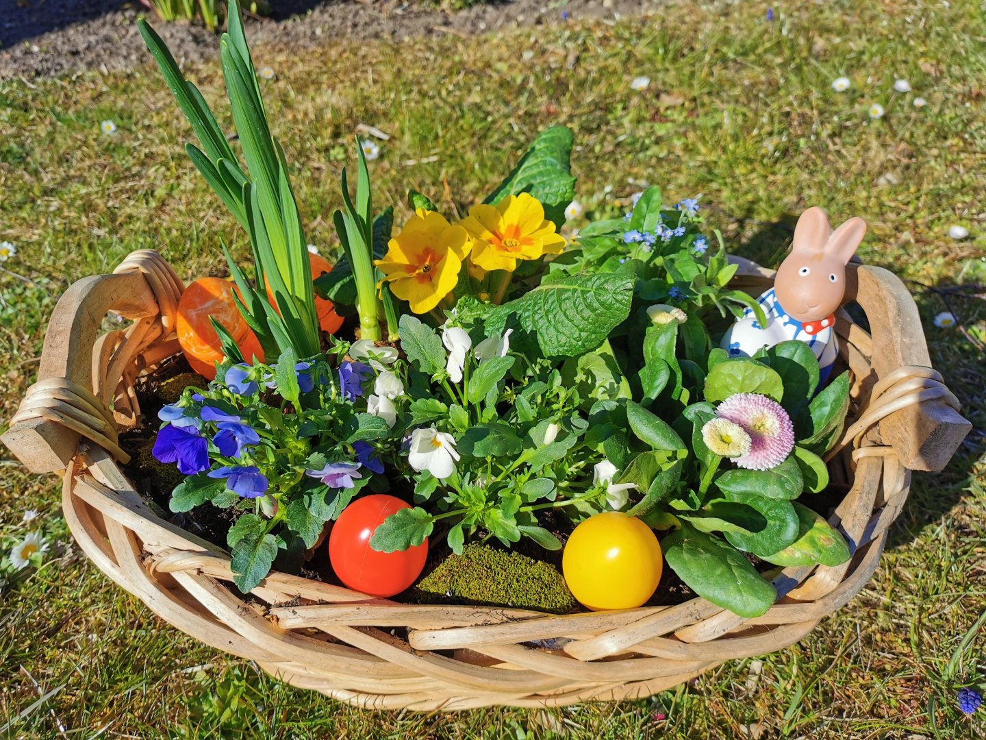 Ostern auf Mönchgut- 4 Tage inkl. Abendessen