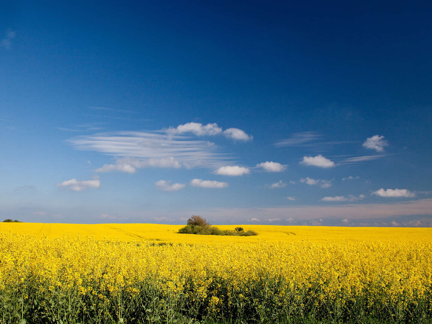 Kurzurlaub auf Rügen I 5 Nächte