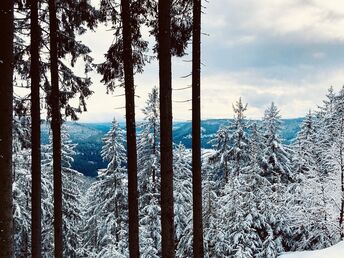 Schwarzwälder Trio