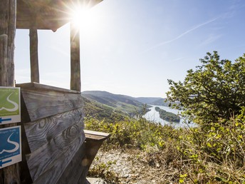 Das ist wanderbar 4 Nächte im Rheingau Taunus inkl. Wanderverpflegung