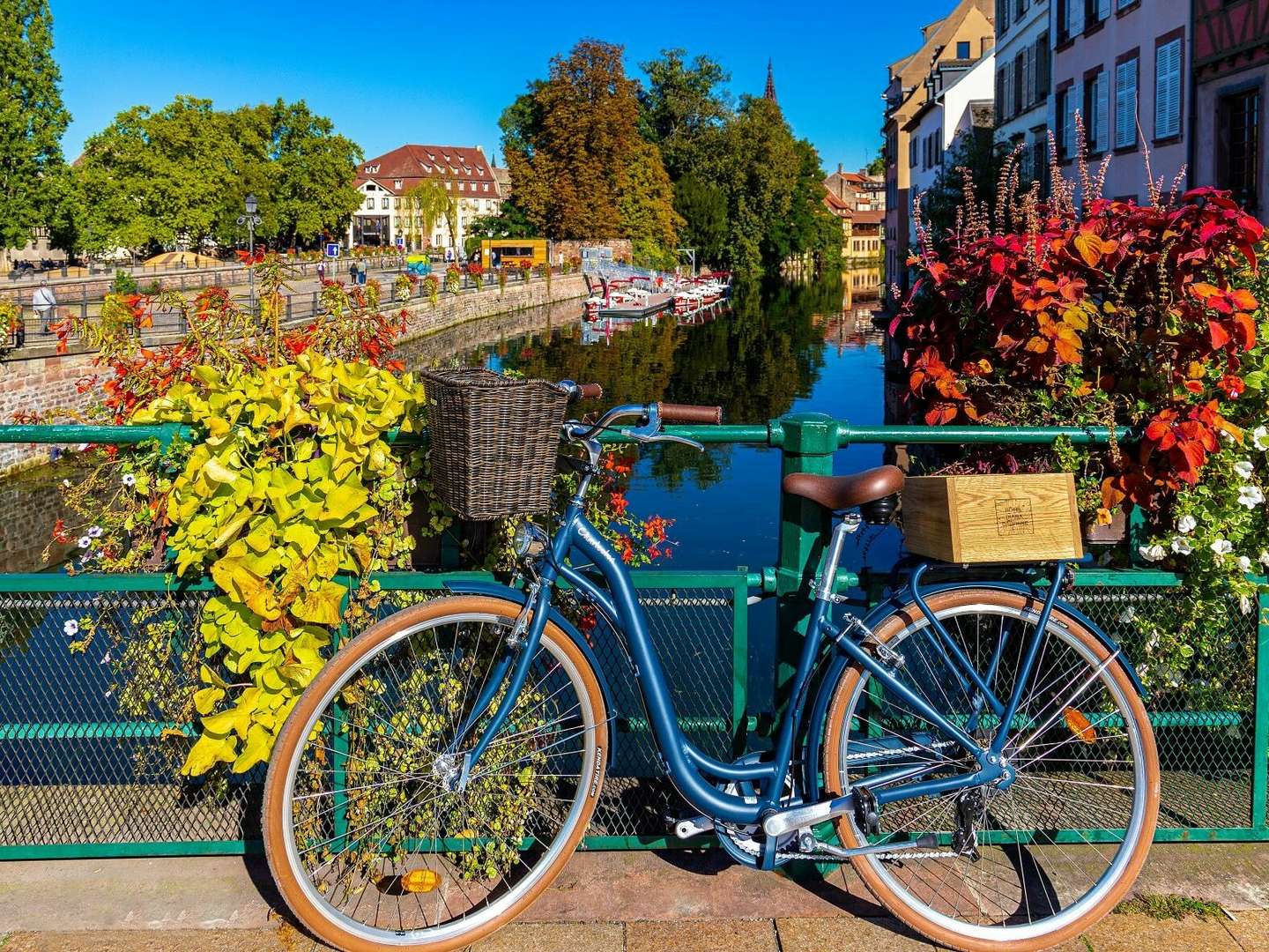 Familienzeit - Der Europa Park Rust ganz nah!