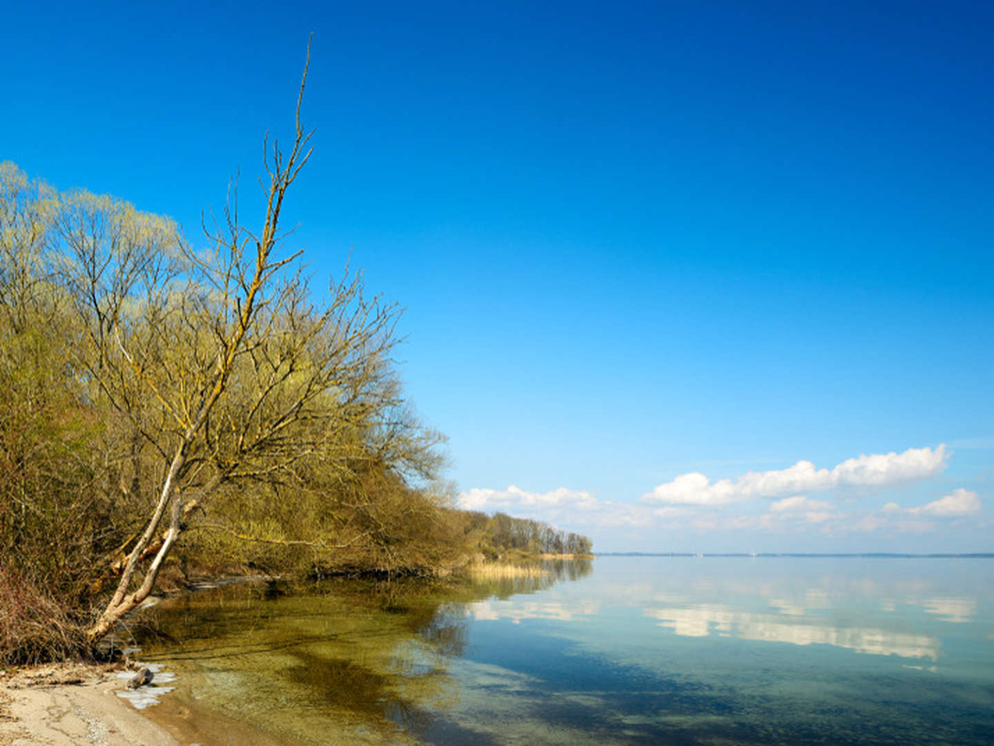 Urlaub an der Müritz