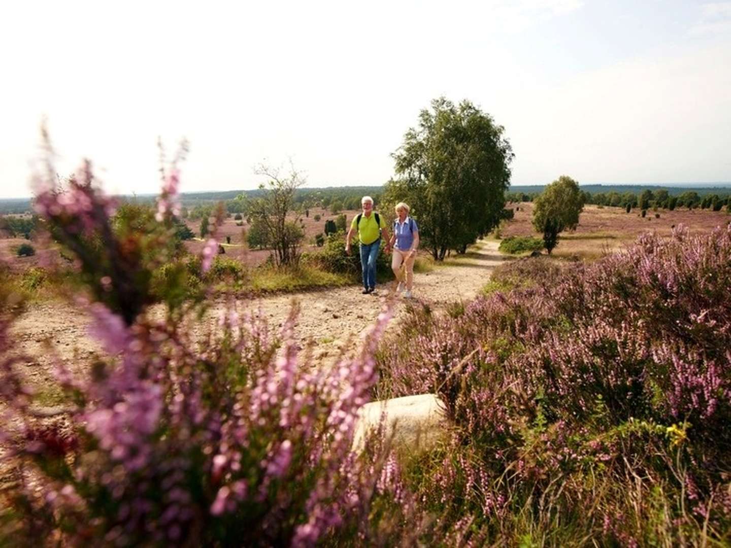 Wandern & Genießen im Naturpark Südheide | 4 Tage