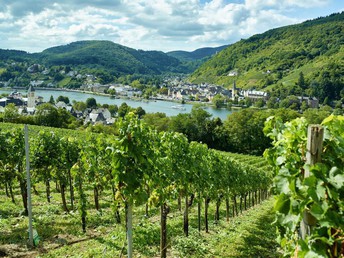 5 = 4 Tage an der Mosel inkl. Rabatt für die Vulkaneifeltherme