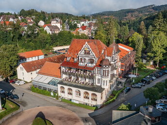 Auszeit im Harz (7 Nächte)