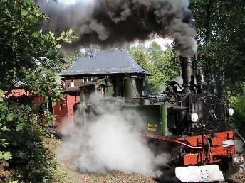 Dampfeisenbahnromantik - 1 Tag Dampfeisenbahn nach Lust und Laune