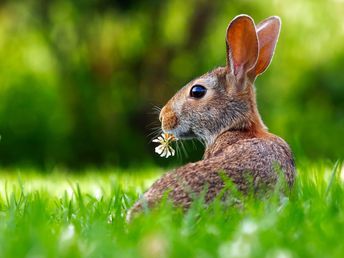 Ostern in der Bayerischen Rhön für Selbstversorger