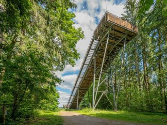 Wandern in der Heidelberger Umgebung inkl. Menü 