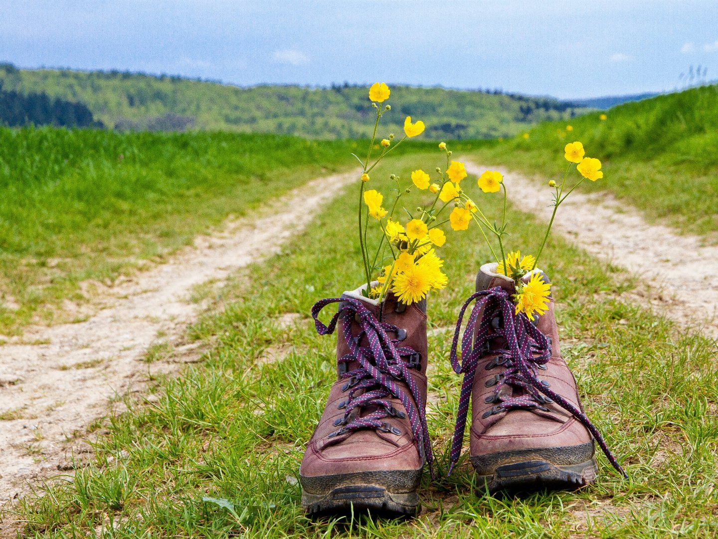 Kurztrip nach Meschede im Sauerland | 3 Tage***