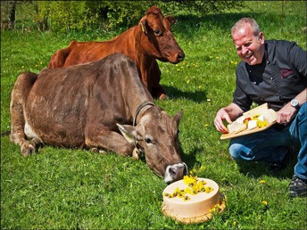 Kurz & Gut in der Eifel - 2 Nächte