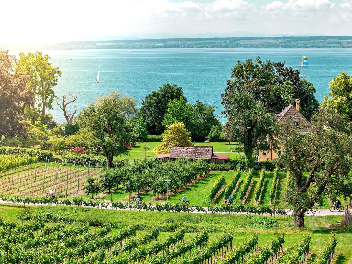 Schnuppertage am Bodensee | 7 Tage