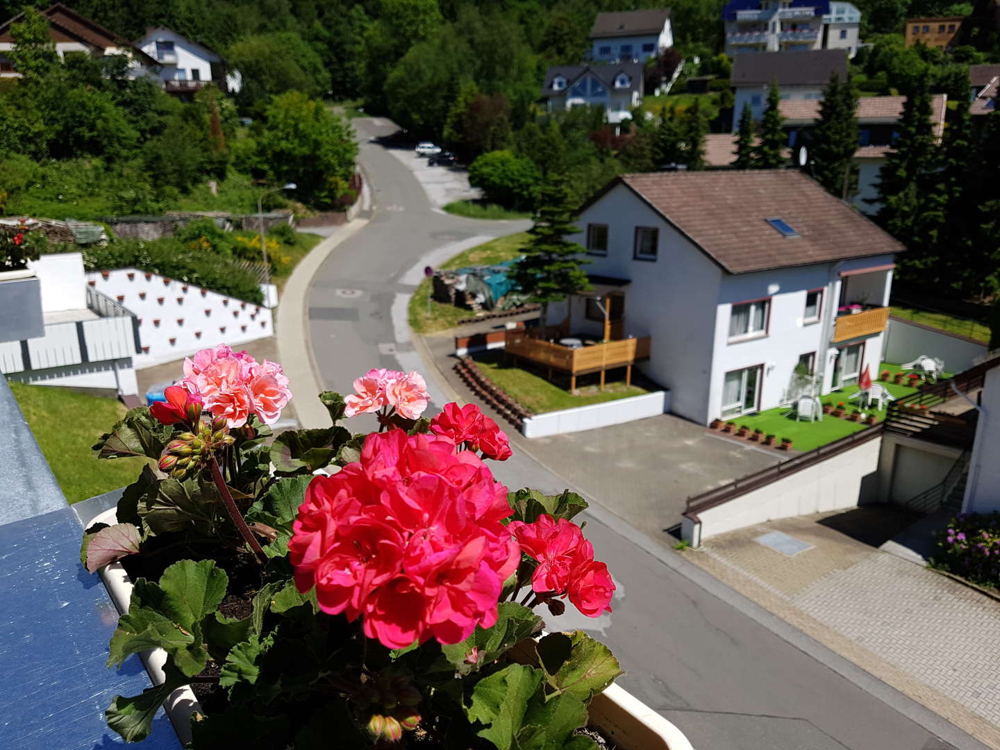 5 Tage Kurzurlaub zum Entspannen im Harz