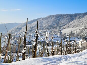 4 Tage - Typisch Mosel - Wandertage inkl. Abendessen & Weinprobe