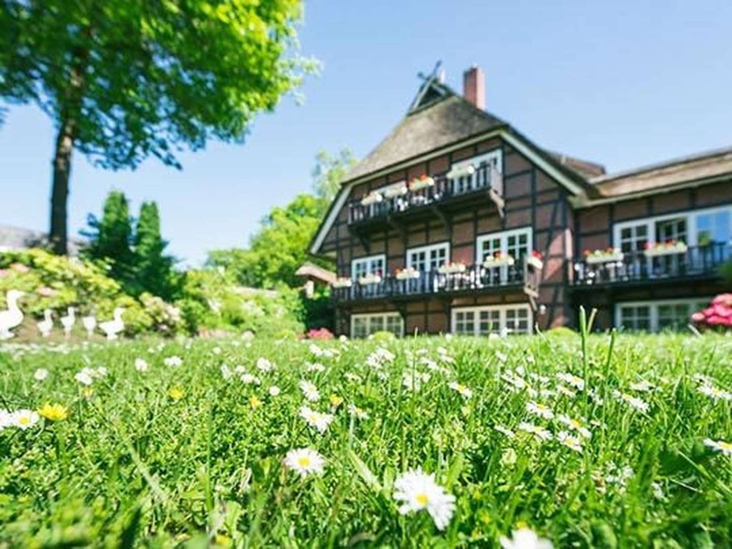 Den Herbst in der Heide genießen inkl. Abendessen