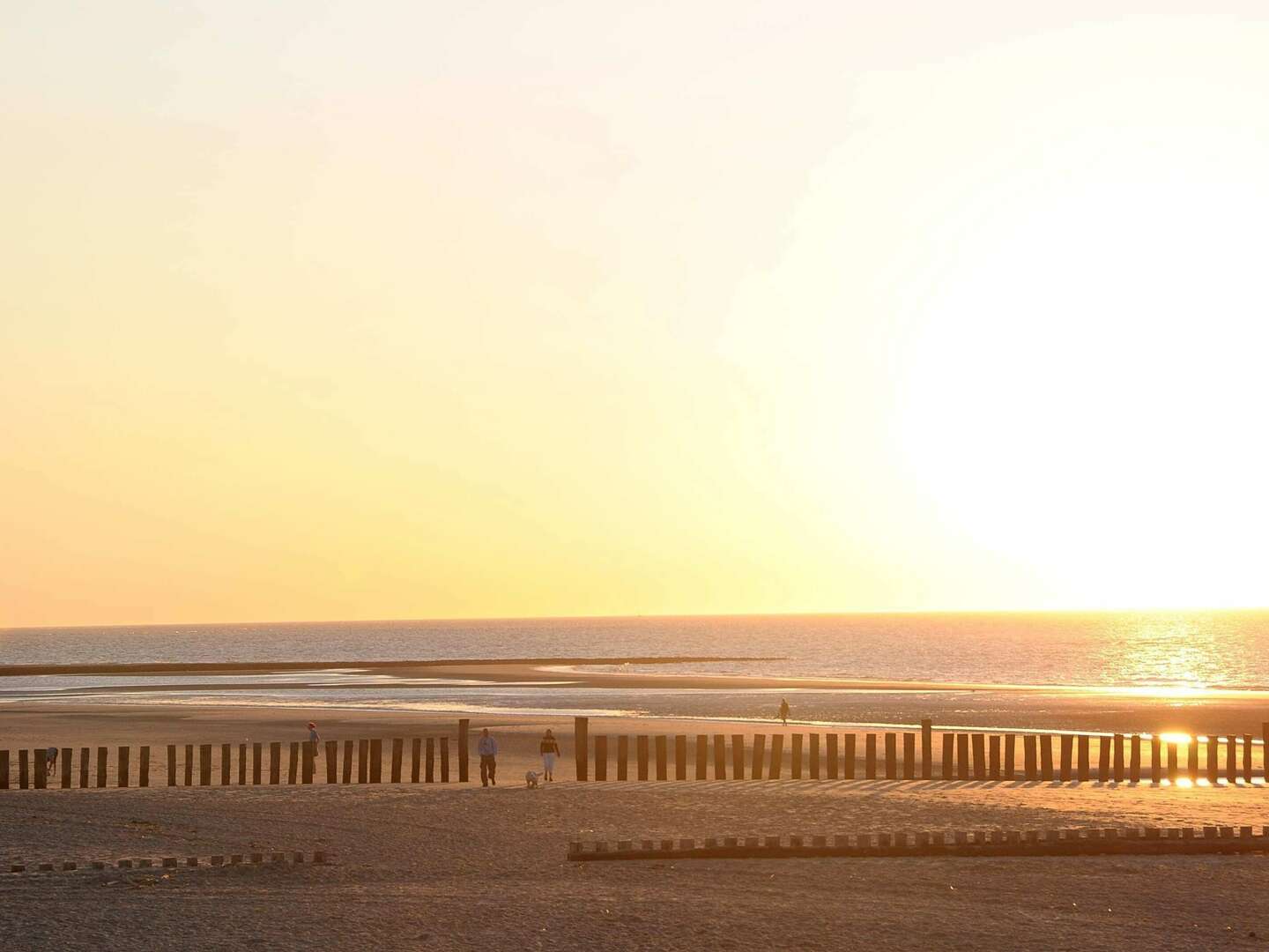 Die Nordsee im 4**** Sterne Aparthotel Kleine Perle erleben | 4 Nächte