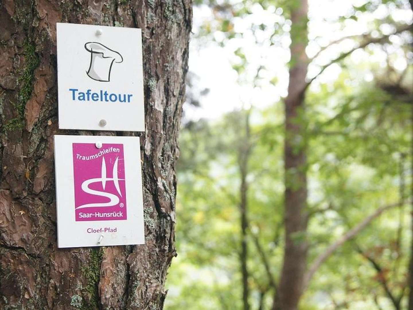 Wandern im Dreiländereck  4 Nächte, inkl. Saarland Card  