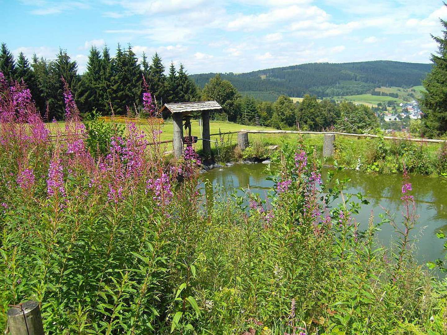 Zwei Nächte Zwei Herzen - Romantische Momente im Schwarzatal 