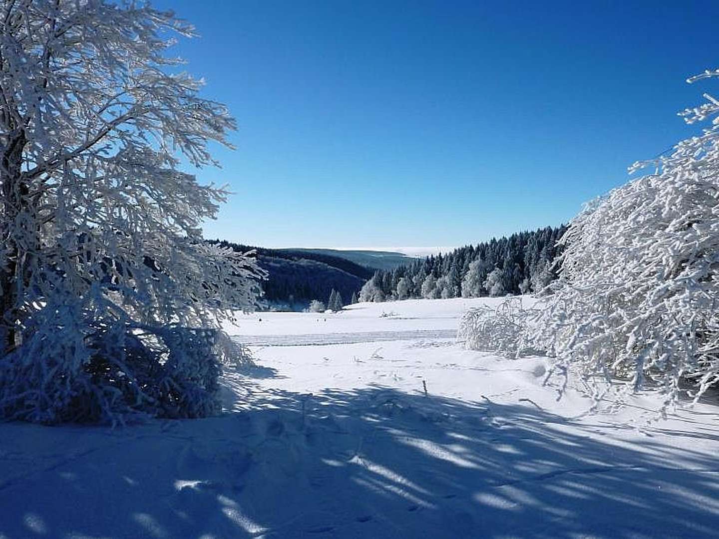 Zwei Nächte Zwei Herzen - Romantische Momente im Schwarzatal 