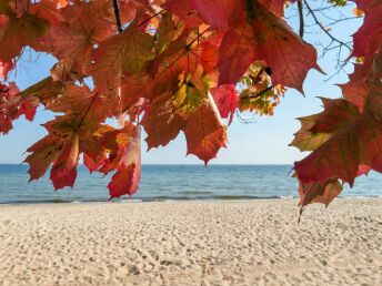 Goldener Herbst auf Usedom / 5 Nächte