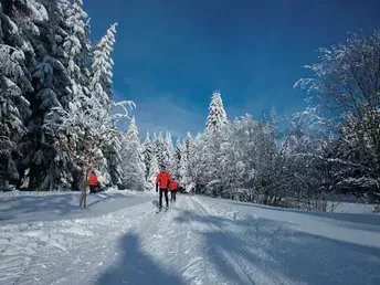 4 Tage - Den Winter im Vogtland erleben! inkl. Halbpension