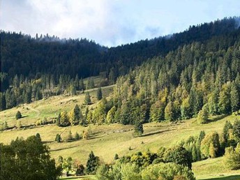 Sommertraum im Schwarzwald