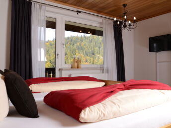 Kurze Auszeit im Wohlfühl-Appartement zwischen Titisee & Schluchsee