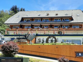 Kurze Auszeit im Wohlfühl-Appartement zwischen Titisee & Schluchsee