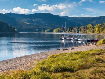 Kuschelstunden zu Zweit im romantischen Schwarzwald - 3 Tage mit Candle Light Diner